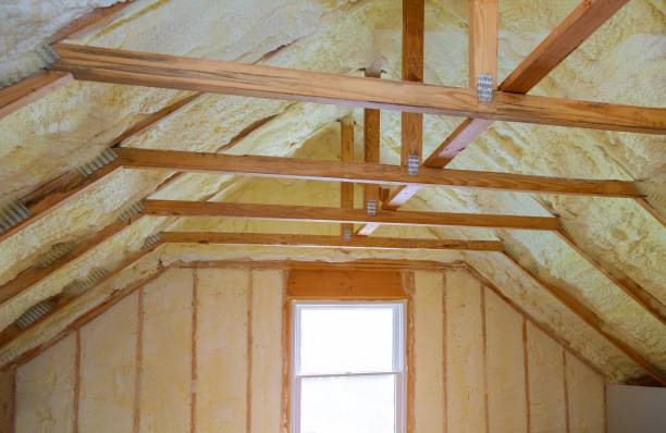 Best Spray Foam Insulation in Buena Vista, VA