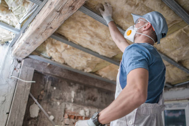 Types of Insulation We Offer in Buena Vista, VA