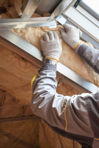 Best Commercial Insulation in Buena Vista, VA