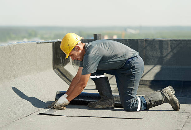 Best Insulation Maintenance and Repair in Buena Vista, VA