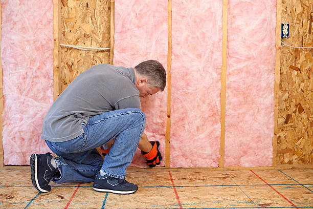 Trusted Buena Vista, VA Insulation Contractor Experts
