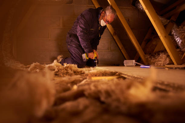 Best Residential Insulation in Buena Vista, VA