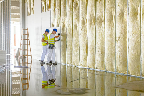 Types of Insulation We Offer in Buena Vista, VA